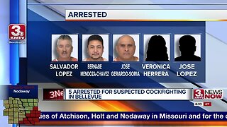 Five arrested for suspected cockfighting in Bellevue