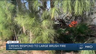 Port Charlotte Brush Fire Threatens Homes