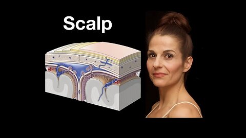 Anatomy of the Scalp