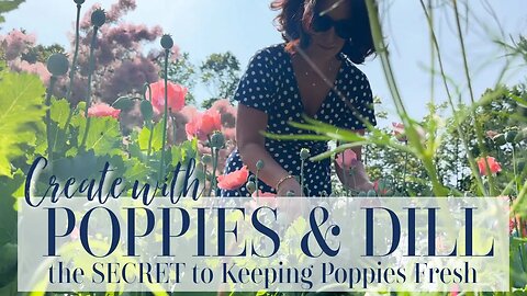 The Secret to Keeping Poppies Fresh | 🌸POPPIES & DILL ARRANGEMENT🌸 How to Cauterize Poppies