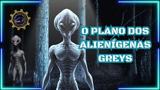 A Verdade Sobre os Alienígenas Greys 🛸👽