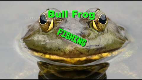 Bullfrog Fishing