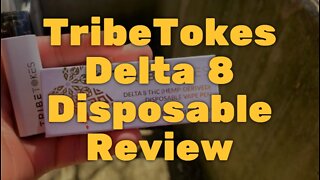 TribeTokes Delta 8 Disposable Review - Convenient Disposable Delivers Smooth Yet Light Hits