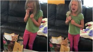 Menina emociona-se ao receber gatinho no seu aniversário