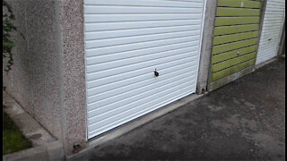 Strang garage door