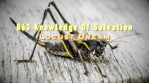 063 Knowledge Of Salvation - Locust Dream