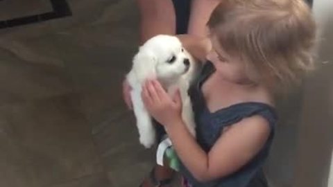 Girls Begged Mom For Puppy, When They Finally Get It, One Of Them Can't Hold Back The Tears