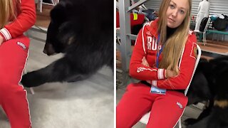 Clingy bear pulls caretaker's chair to be closer to her