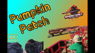 Pumpkin Patch | Pony Rides | Petting Zoo | Hay Ride | 4K