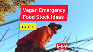 Vegan Emergency Foods: Part II