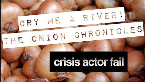 WHO BRINGS AN ONION TO A PROTEST?