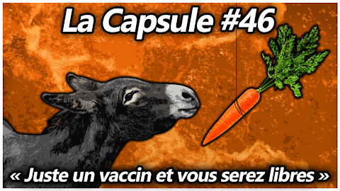 La Capsule #46 - Juste un vaccin et vous serez libres