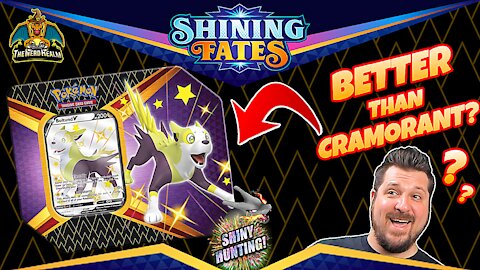 Shining Fates Shiny Boltund Tin | Shiny Hunting | Pokemon Cards Opening