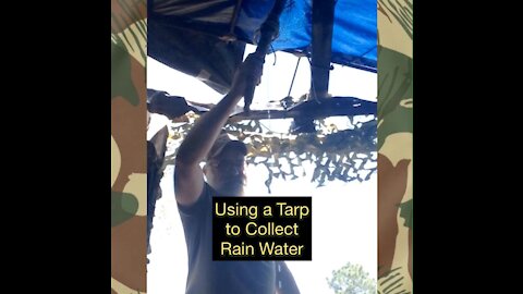 Using a Tarp to Collect Rainwater for Survival Situations