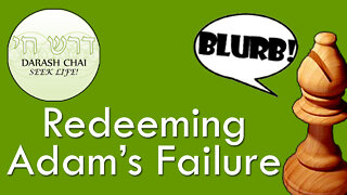 Redeeming Adam's Failure - The Bishop's Blurb