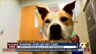 Soaring cost of vet care