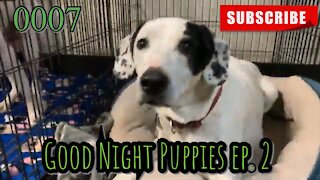 the[DOG]diaries [0007] Good Night Puppies - Episode 2 [#dogs #doggies #puppies]