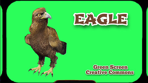 EAGLE green screen animation. GREEN SCREEN video footage.