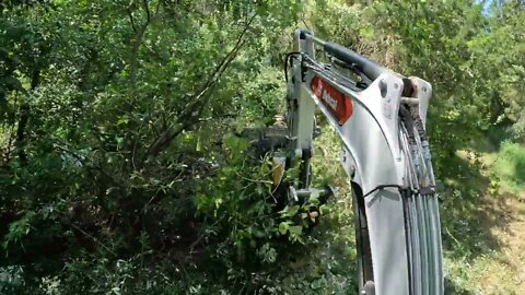 How to Clear Overgrown Trails Easily with a Bobcat E42 & Construction Attachments 42" Brush Cutter