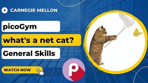 picoGym (picoCTF) Exercise: what's a net cat?