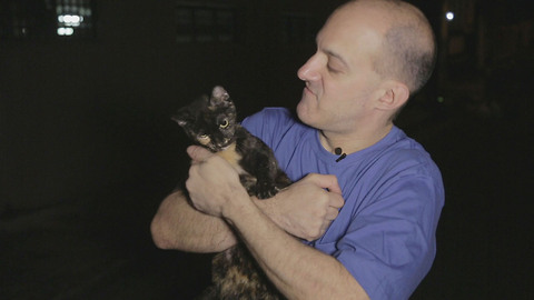 The Undercover Cat Man Feeding Hundreds Of Strays