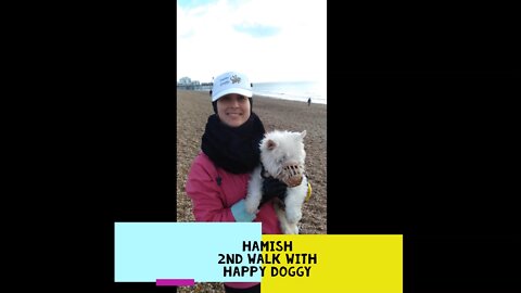 Hamish 2nd Walk with Happy Doggy