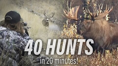 40 Hunts in 20 Minutes! Wild Hunters Outdoor