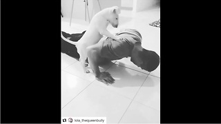 Dog helps out owner with workout routine