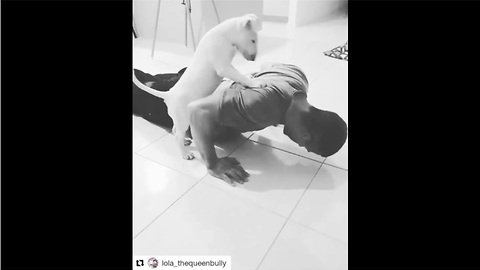 Dog helps out owner with workout routine