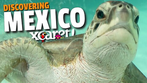 XCARET You Can Find Underground Rivers in Mexico | Vancity Adventure
