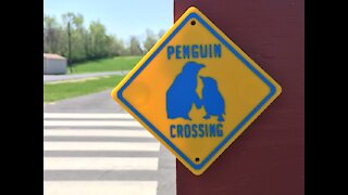 Penguin Crossing 3D Printed Sign