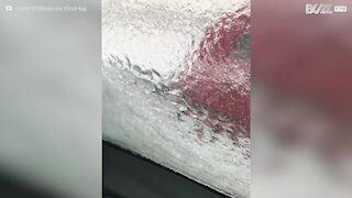 Le temperature polari creano un muro di ghiaccio su quest'auto