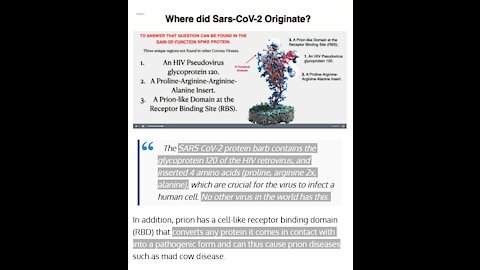 Gain-of-Function Fauci: 2019-nCoV Spike Protein HIV Pseudovirus glycoprotein 120