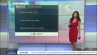 ABC 10News Pinpoint Weather for Sun. July 26, 2020