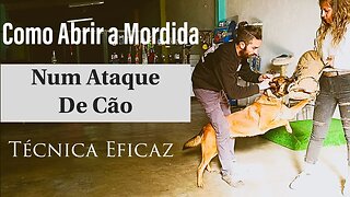 Como Abrir a Mordida de um Cão Durante um Ataque: Dicas Essenciais