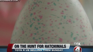 Hatchimals available tomorrow