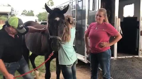 Girl Has Emotional Reunion With Her Horse After 4 Years Apart