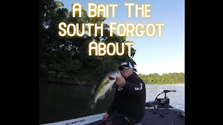 Fishing with a bait the south forgot about...the tube