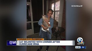 Florida cat reunited with owner 2 years after Hurricane Irma