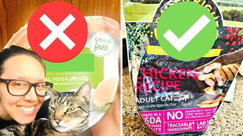 Grain free wet cat food good or bad?