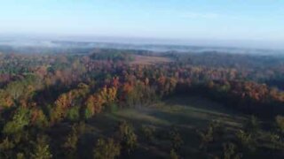 As cores do Outono entre nevoeiro na Carolina do Sul