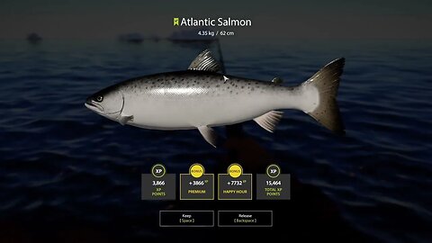 Russian Fishing 4 Ladoga Archipelago Atlantic Salmon 4 . 35 Kg