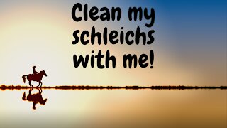 Clean my Schleich with me!~Everything180~