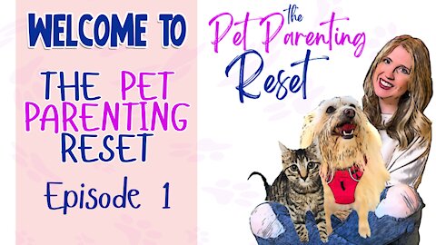 Welcome to the Pet Parenting Reset Podcast - Episode 1