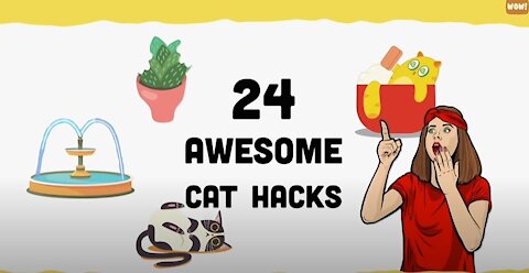 For Cat Lovers🐱! Cat Life Hacks That’ll Change Your Life