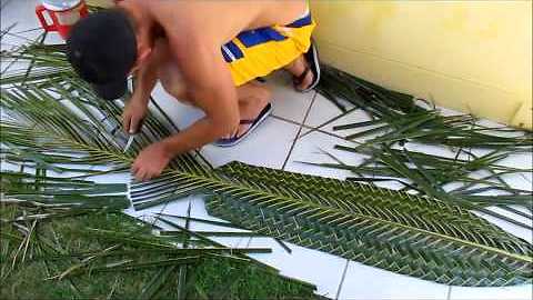 Brazilian man fashions fish art out of coconut leaf