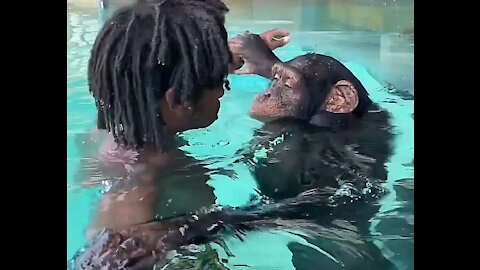 Bath with monkey friends
