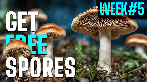 Free Spores Give Away Week 5