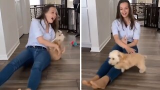 Puppy ecstatic to see owner after three days apart