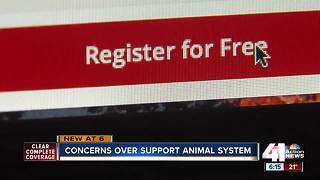 Some concerned over emotional support animal system